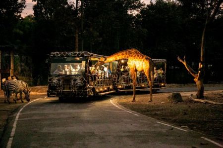 SV508 CHIANGMAI NIGHT SAFARI ( TICKET WITH ROUND TRIP TRANSFER - NO GUIDE ) 