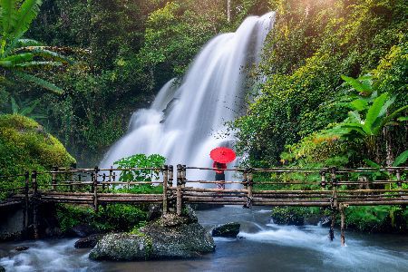 SV204 MINI TREKKING AT DOI INTHANON NATIONAL PARK 