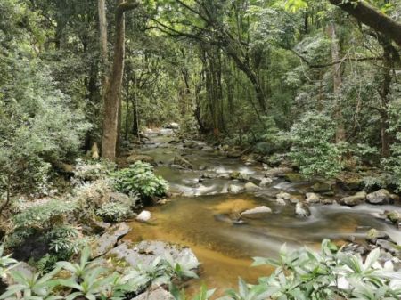 SV507 INTHANON NATIONAL PARK WITH MINI TREKKING AT PHA DOK SEO NATURE TRAIL