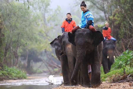 SV210 PATARA ELEPHANT FARM WITH LUNCH (CAREGIVER FOR ADAY)