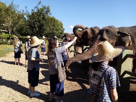 SV108 HALF DAY KANTA ELEPHANT SANCTUARY & POO POO PAPER TOUR (NO LUNCH)