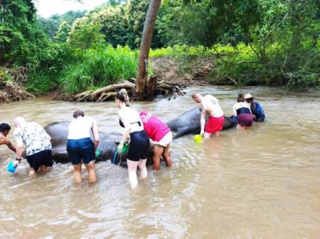 SV501 HALF DAY ELEPHANT CARE AND BAMBOO RAFTING 